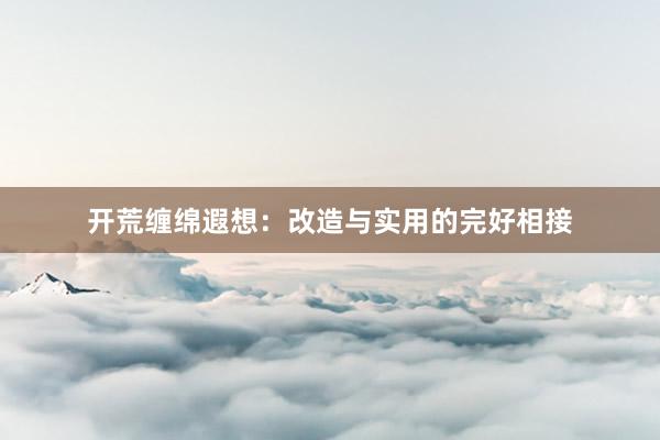 开荒缠绵遐想：改造与实用的完好相接