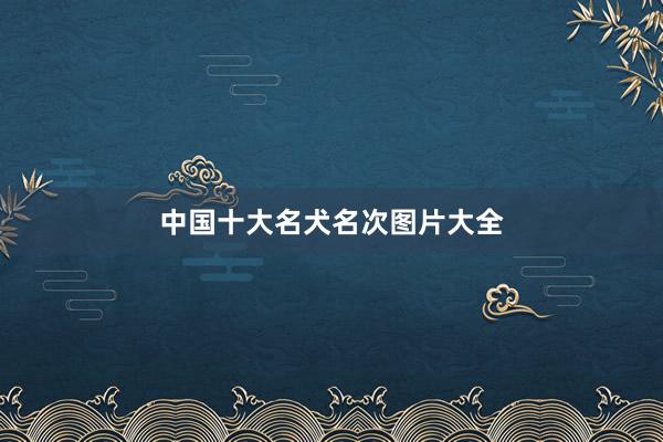 中国十大名犬名次图片大全