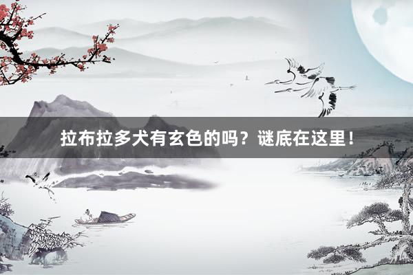 拉布拉多犬有玄色的吗？谜底在这里！